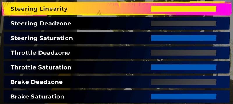 DIRT 5 Advanced Settings