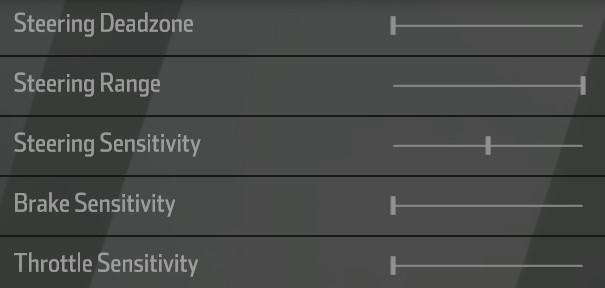 NASCAR Heat 3 Settings
